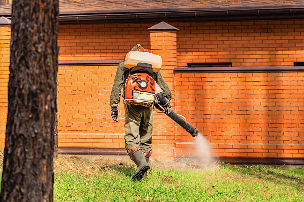 Trusted Cockroach Control service in Cockrell Hill, TX - Nex Pest Control